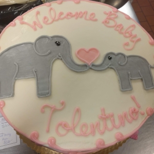 MOM AND BABY ELEPHANT HOLDING TRUNKS LOVE HEART CUTE FOR BABY SHOWER CAKE IN CHICAGO ILLINOIS
