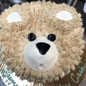 FULL COVER FURRY TEXTURED TEDDY BEAR WITH BUTTERCREAM FOR BABY SHOWER OR YOUNG CHILD BIRTHDAY IN CHICAGO ILLINOIS