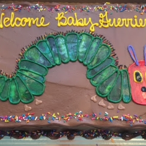 THE HUNGRY CATERPILLAR BOOK CHARCTER KIDS CUSTOM BIRTHDAY PARTY CAKE IN CHICAGO