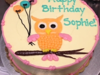 CUTE ORANGE AND PINK OWL HOLDING BALLOONS ON BRANCH FOR GIRLY BIRTHDAY CELELBRATION PARTY IN CHICAGO