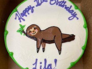 SLEEPING HANGING SLOTH NAP FOR KIDS BIRTHDAY CELELBRATION PARTY CAKE IN CHICAGO