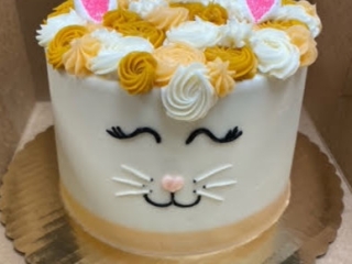 KITTY ORANGE TABBY CAT KIDS BIRTHDAY PARTY CELELBRATION IN CHICAGO