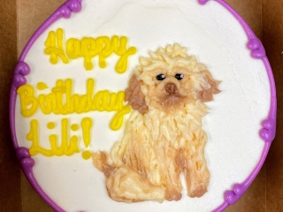 REALISTIC FURRY POODLE PUPPY DOG FOR KIDS BIRTHDAY CELEBRATION PARTY CAKE IN CHICAGO