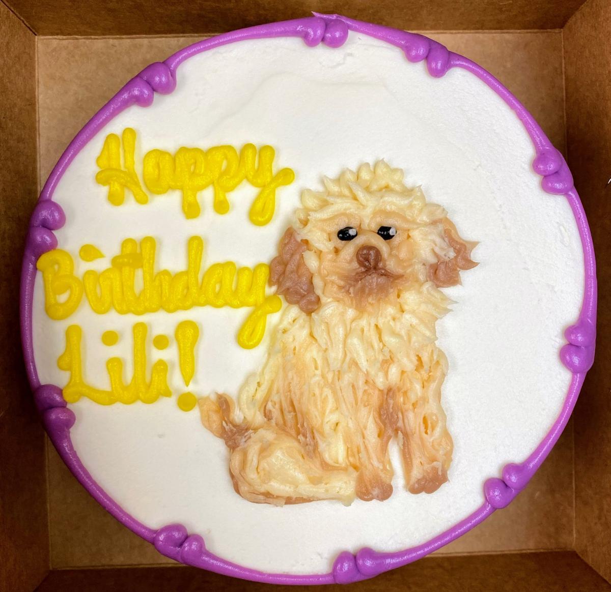 REALISTIC FURRY POODLE PUPPY DOG FOR KIDS BIRTHDAY CELEBRATION PARTY CAKE IN CHICAGO
