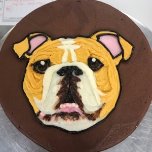 REALISTIC BULLDOG PUPPY FACE FOR KIDS ADULTS ANIMAL BIRTHDAY CELELBRATION GOTCHA DAY CAKE IN CHICAGO