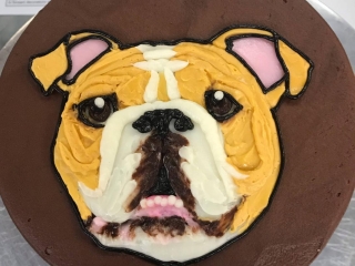 REALISTIC BULLDOG PUPPY FACE FOR KIDS ADULTS ANIMAL BIRTHDAY CELELBRATION GOTCHA DAY CAKE IN CHICAGO