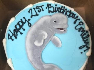 UNDER THE SEA AQUATIC AQUARIUM BELUGA WHALE HAND DRAWN BIRTHDAY CAKE FOR KIDS AND ADULTS CELEBRATION PARTY IN CHICAGO