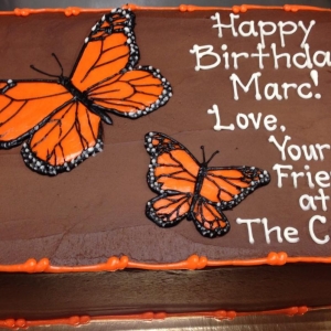 ORANGE MONARCH BUTTERFLY FLUTTER GIRLY BIRTHDAY CELEBRATION PARTY CUSTOM CAKE IN CHICAGO